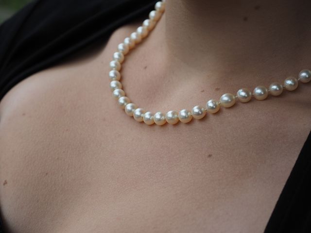 5 critères pour choisir au mieux son collier